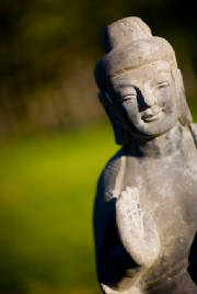 Practicing Loving Kindness